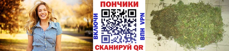 Как найти наркотики Тихорецк АМФ А ПВП ГАШИШ Меф COCAIN МАРИХУАНА