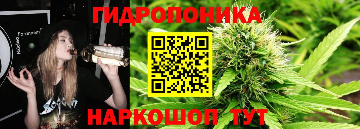 Бошки Шишки конопля Тихорецк